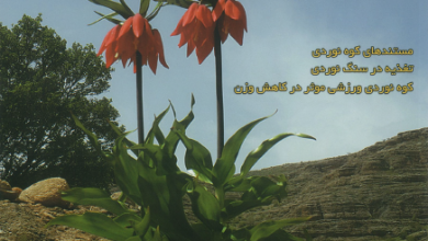 Photo of فصلنامه کوه شماره ۹۴